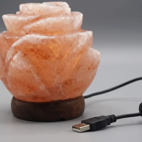 USB Flower Lamp
