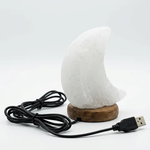 Moon Salt Lamp, view 2